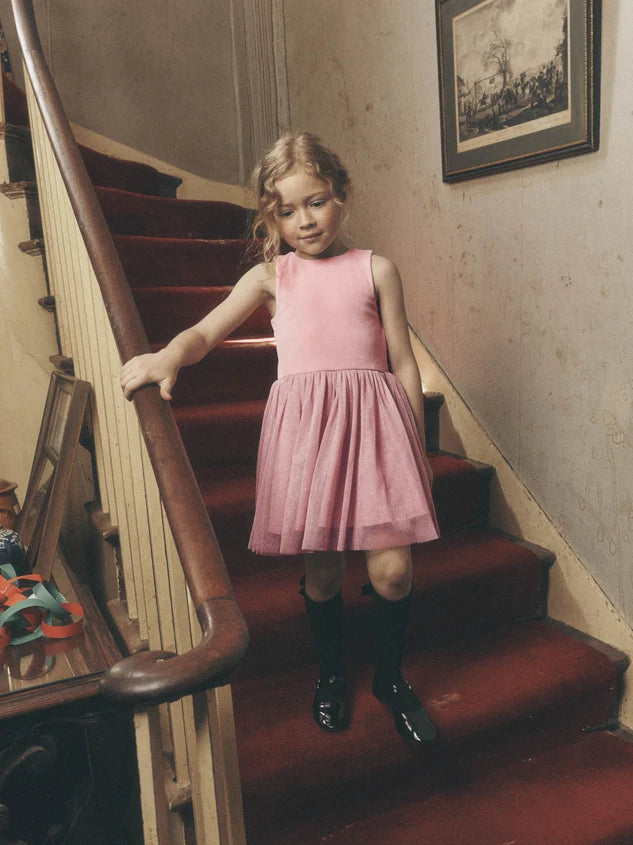 Velour & Tulle Ballet Dress - Pink