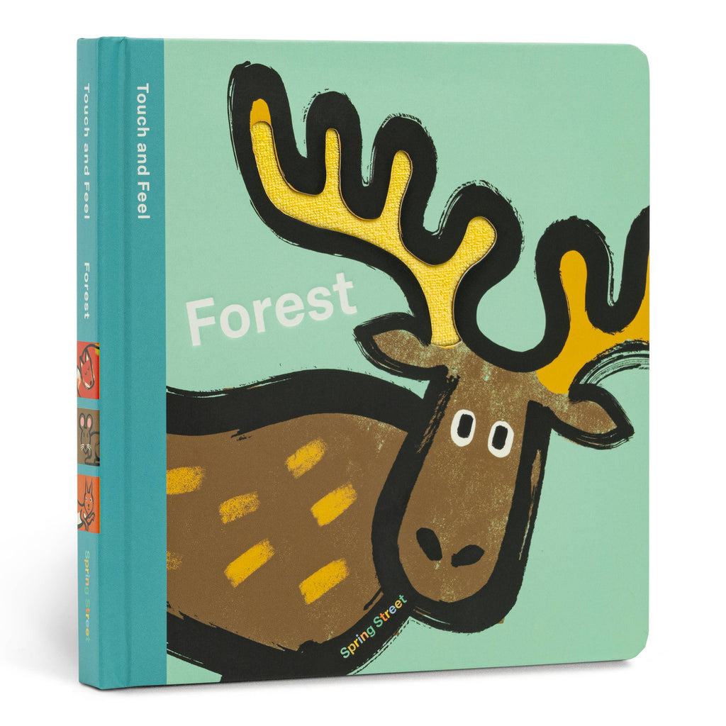 Spring Street Touch and Feel: Forest: Board Book