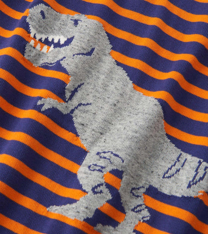 Dino Raglan Sweater
