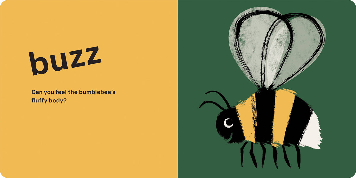 Spring Street Touch and Feel: Bugs: Board Book