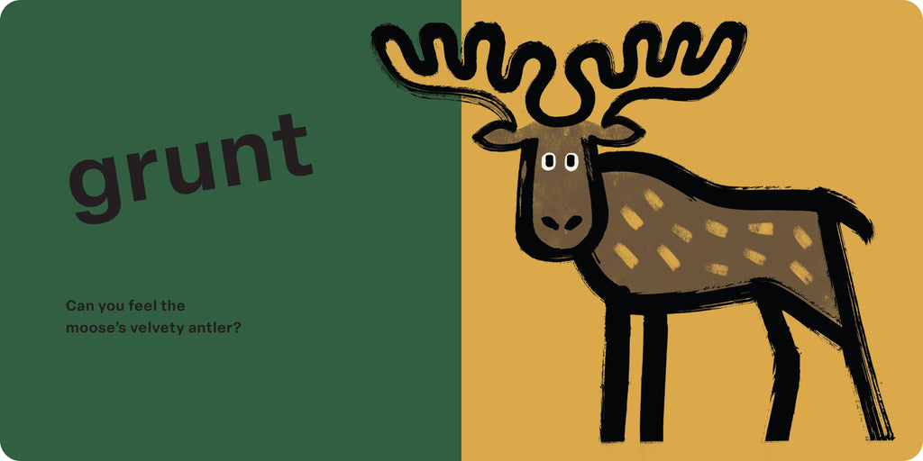 Spring Street Touch and Feel: Forest: Board Book